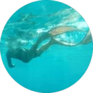 Lillian Dianah Avatar